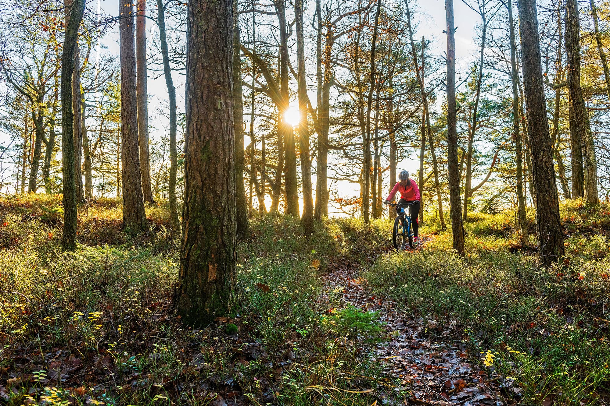Shuswap Lake view lots in Eagle Bay, BC